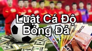 Luật cá độ bóng đá